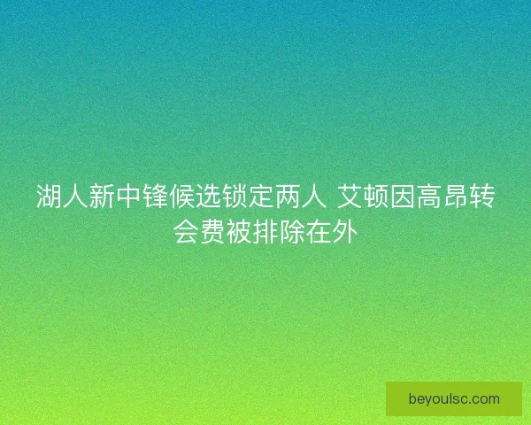 湖人新中锋候选锁定两人 艾顿因高昂转会费被排除在外