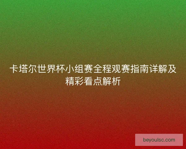 卡塔尔世界杯小组赛全程观赛指南详解及精彩看点解析