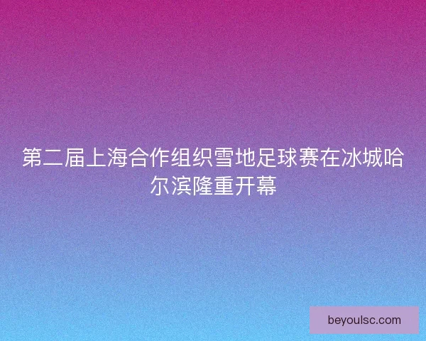 第二届上海合作组织雪地足球赛在冰城哈尔滨隆重开幕